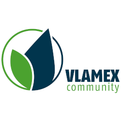 Vlamex